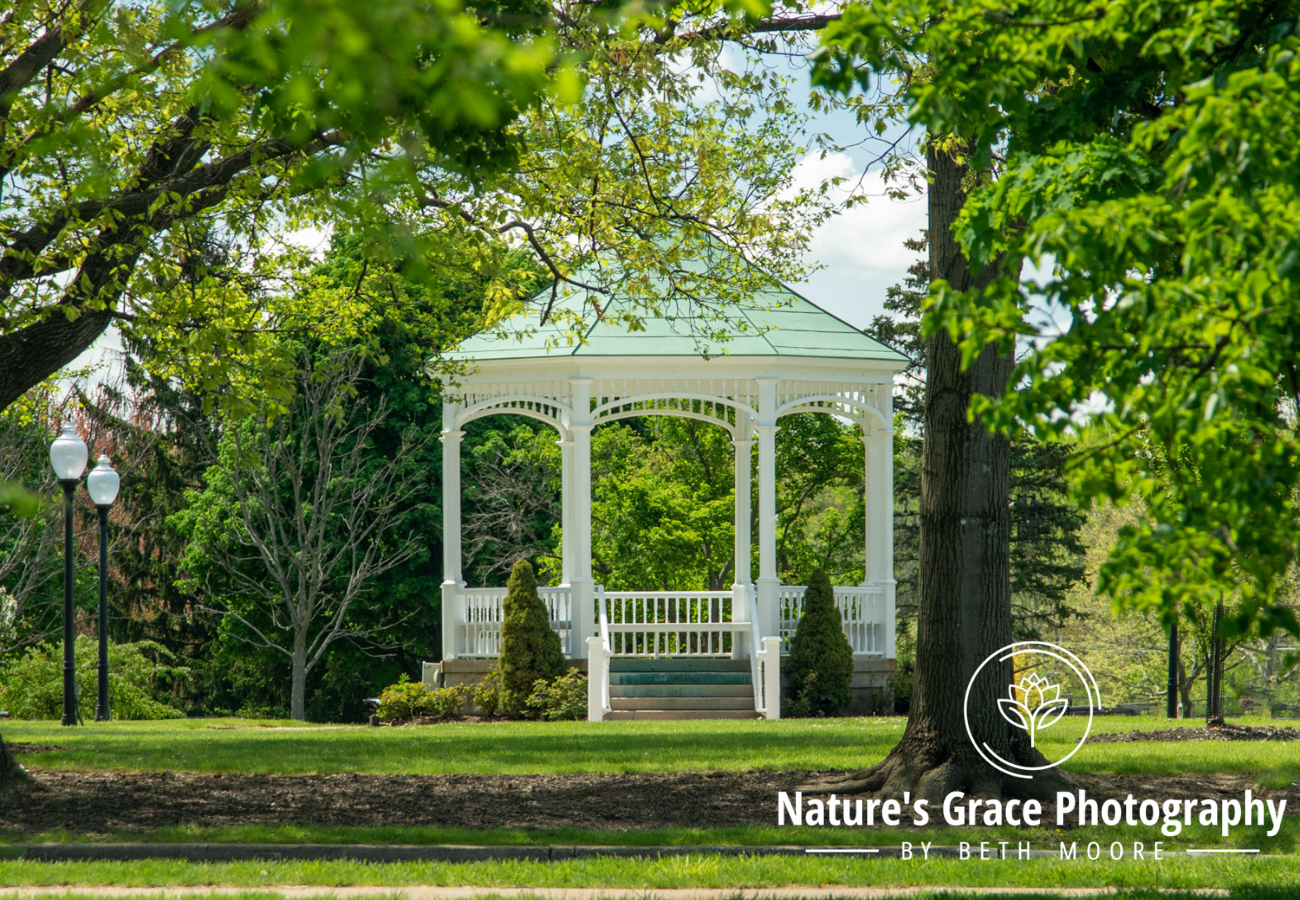 Beth's Choice Landscape Greeting Card Set