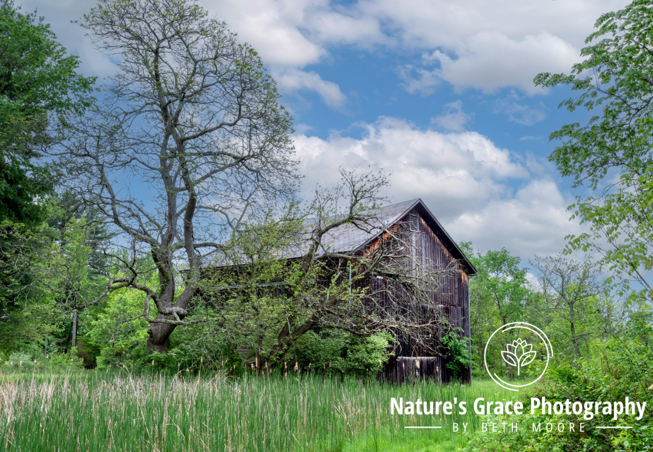 Beth's Choice Landscape Greeting Card Set