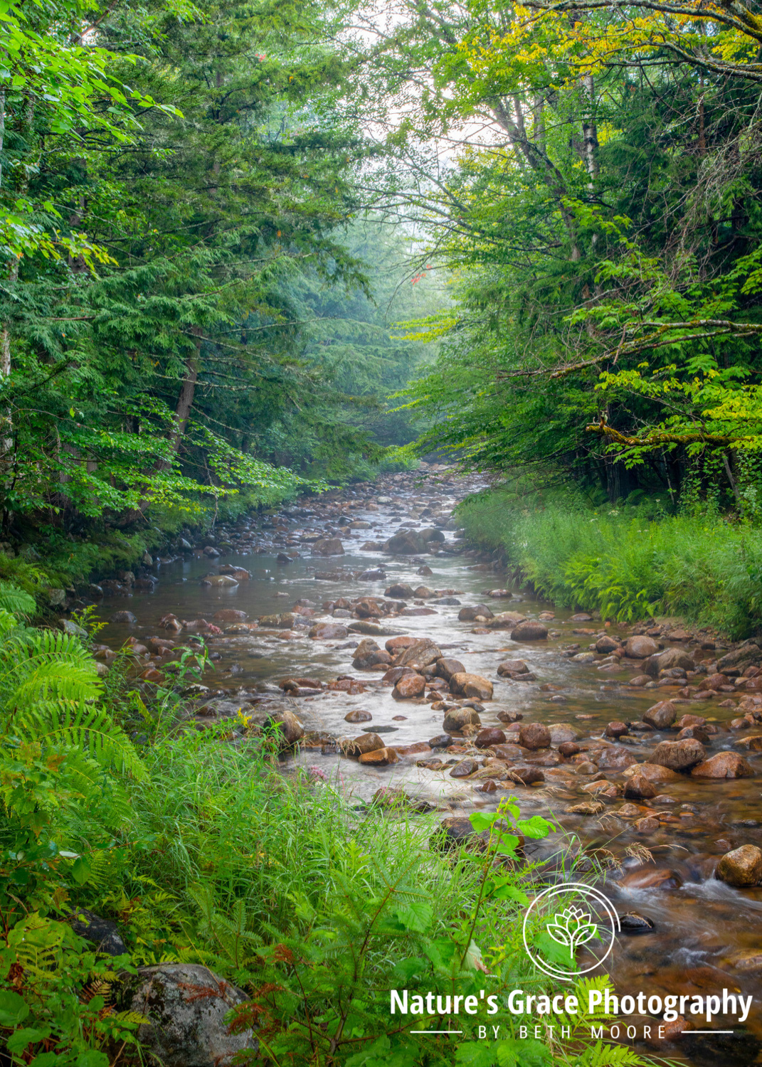 Beth's Choice Landscape Greeting Card Set