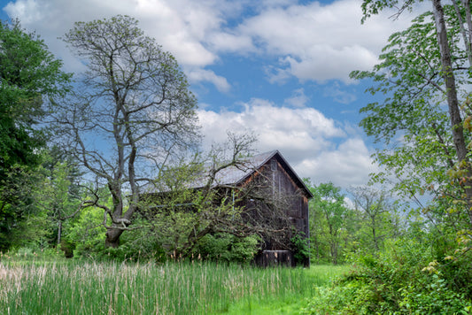 Barn