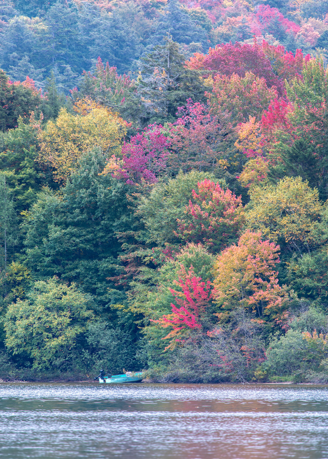 Beth's Choice Adirondack Greeting Card Set