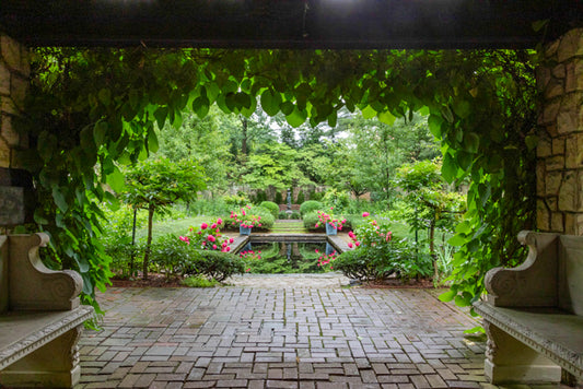 Flower Garden