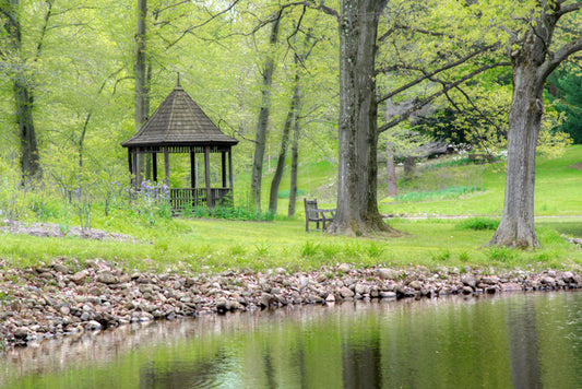 Forest Bench & Gazebo