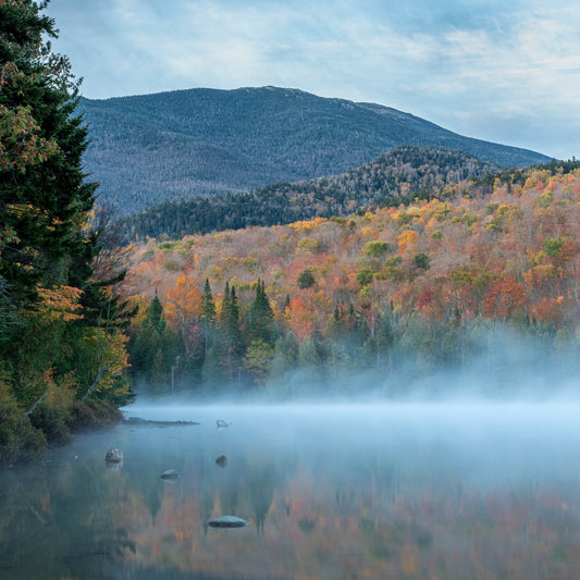 Heart Lake Fall Foliage -  Adirondacks Stone Coaster Set