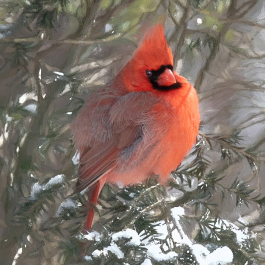 Male Cardinal Stone Coaster Set