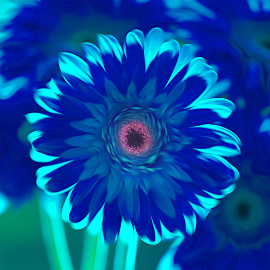 Blue Gerbera Daisy Stone Coaster Set