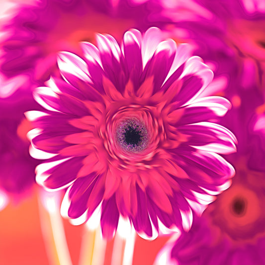 Purple Gerbera Daisy Stone Coaster Set