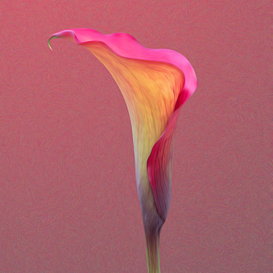 Pink & Orange Calla Lily Stone Coaster Set