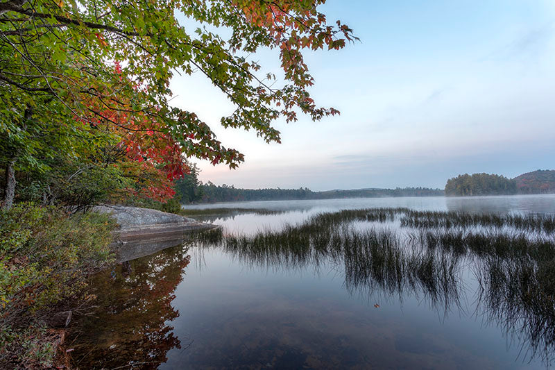 Lower Brown Tract Pond Fall Foliage - Raquette Lake, NY