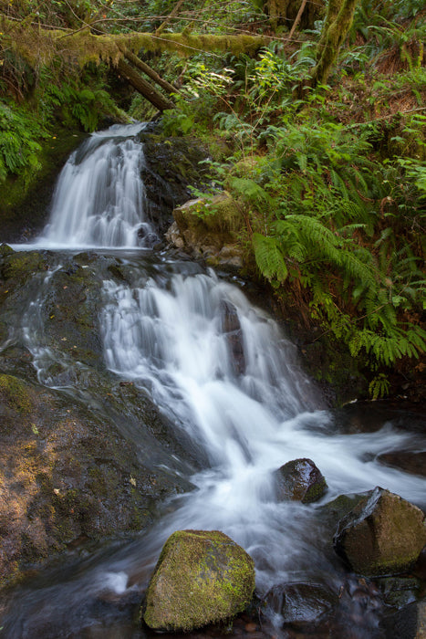Oregon Waterfall