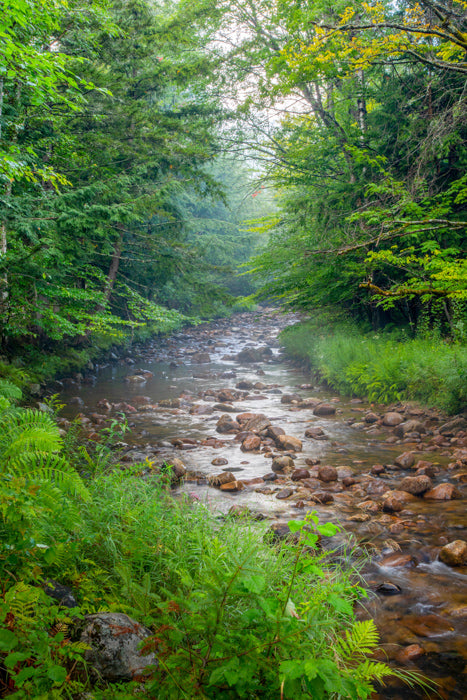 Pine Brook - Long Lake, NY