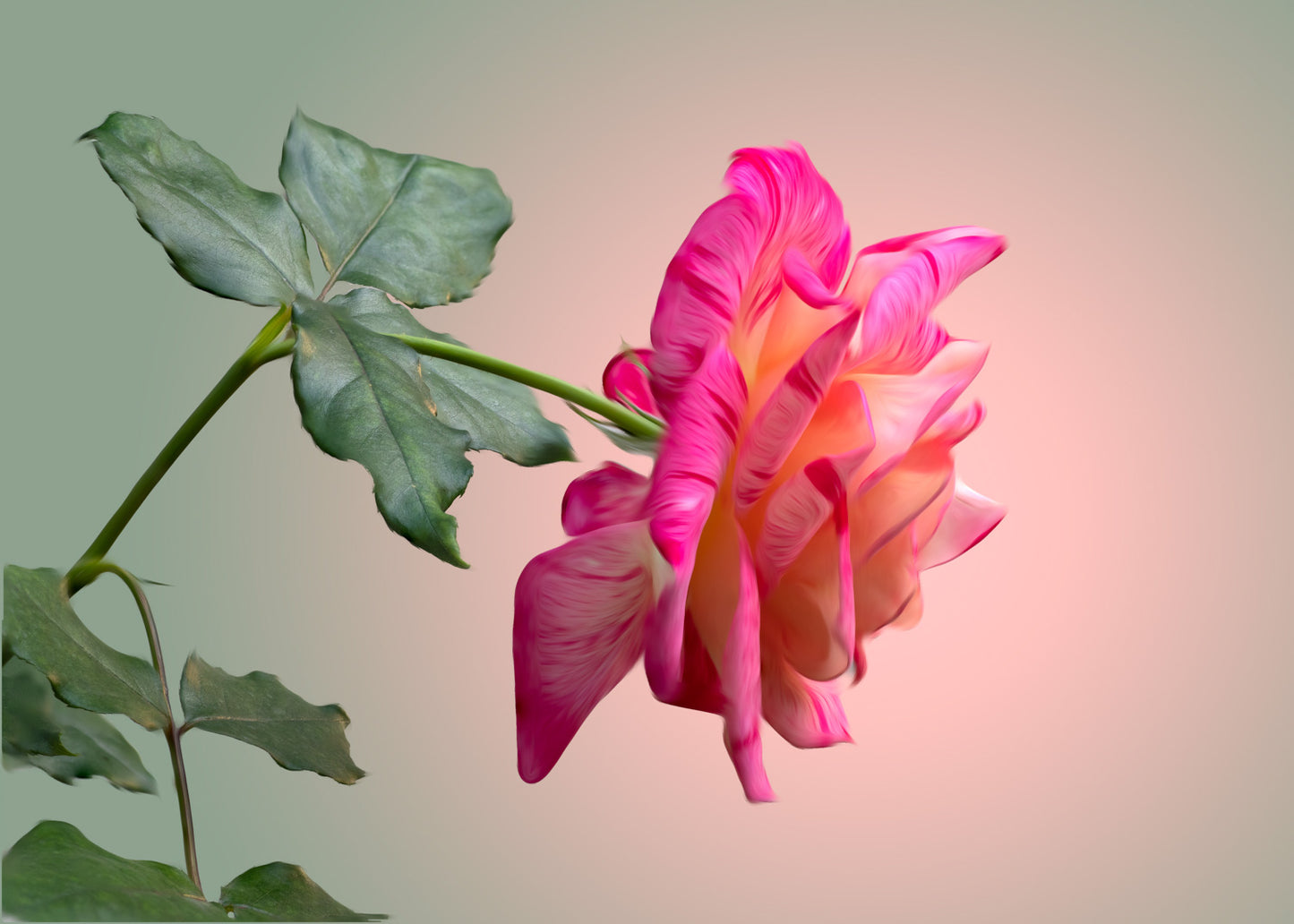 Beth's Choice Flower Greeting Card Set