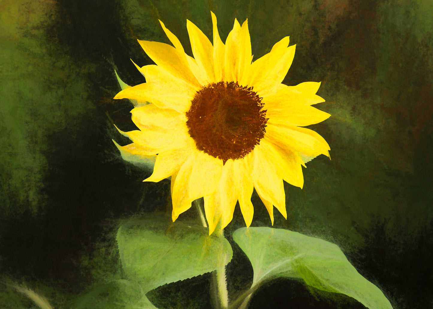 Beth's Choice Flower Greeting Card Set
