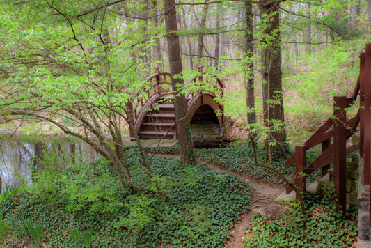 Woodland Bridge