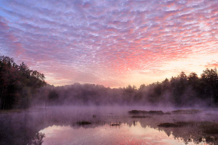 Foggy Sunrise - Fly Pond, NY