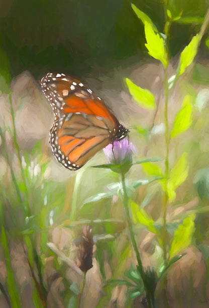 Beth's Choice Wildlife Greeting Card Set