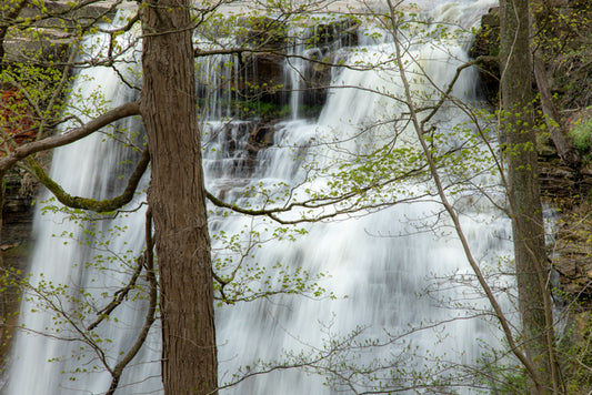 Brandywine Falls