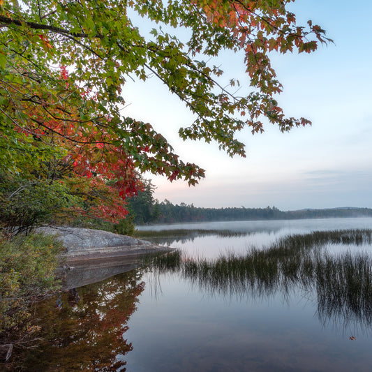 Brown Tract Lower Pond Fall Foliage - Raquette Lake, NY Adirondacks Stone Coaster Set