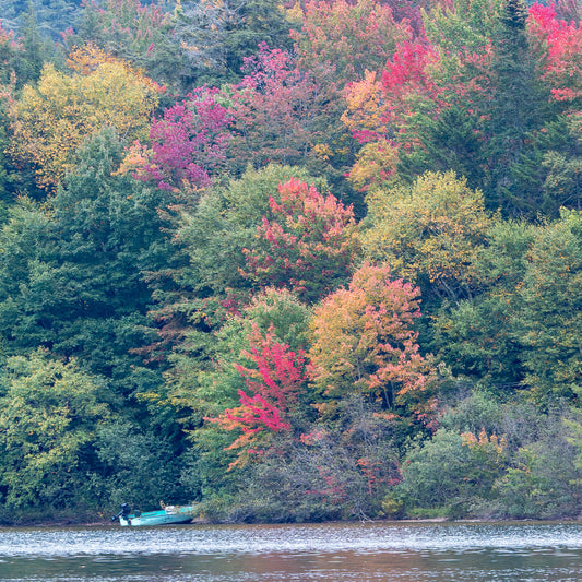 Row Boat on Eighth Lake w/Fall Foliage - Inlet, NY Adirondacks Stone Coaster Set