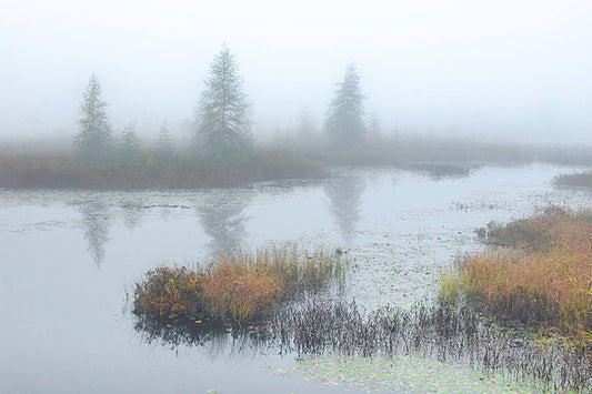 Lower Brown Tract Pond Fall Foliage - Raquette Lake, NY