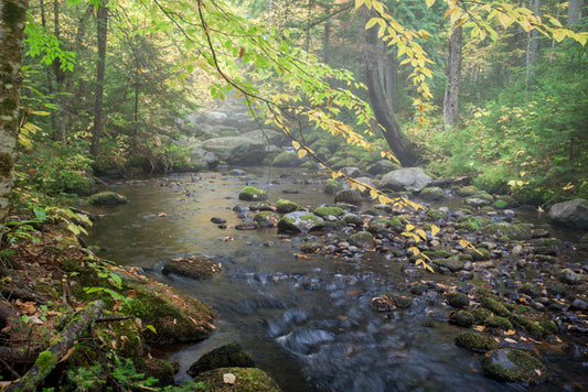 Pine Brook - Long Lake, NY